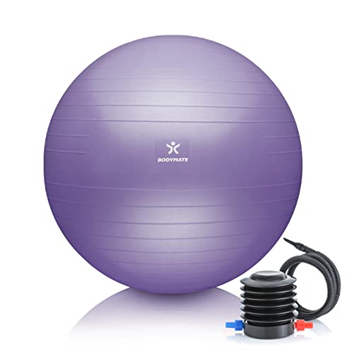 BODYMATE Gymnastikball Sitzball Trainingsball mit GRATIS E-BOOK inkl. Luft-Pumpe, Ball für Fitness, Yoga, Gymnastik, Core Training, für starken Rücken als Büro-Stuhl FRENCH Lavender 75cm von BODYMATE