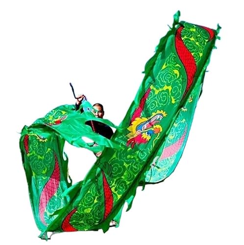 3D Drachen Seide Flowy Spinning & Schütteln Poi, Tanz-Luftschlangen mit Drachen-Print, bunte Tanz-Luftschlangen aus Seide mit Drachen-Print, Outdoor Square Park Sports Fitness Ribbon(Green,8m/26ft) von BPABDEITR