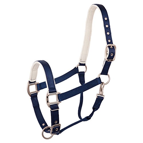 BR Halfter Event, Farbe:blau, Groesse:Cob BR Halfter Event, Farbe:blau, Groesse:Cob von BR