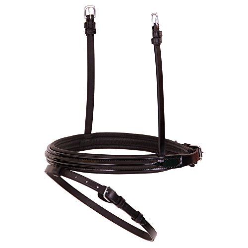 BR englisch kombiniertes Reithalfter Lackleder, Farbe:schwarz/silber, Groesse:Cob BR englisch kombiniertes Reithalfter Lackleder, Farbe:schwarz/silber, Groesse:Cob von BR