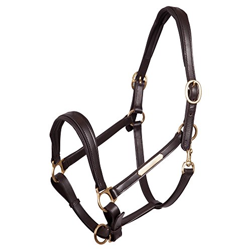 BR Premiere Lederhalfter, Farbe:schwarz, Groesse:Cob BR Premiere Lederhalfter, Farbe:schwarz, Groesse:Cob von BR