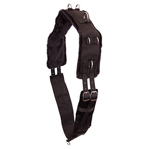 Premiere Longiergurt, Farbe:schwarz, Groesse:Full Premiere Longiergurt, Farbe:schwarz, Groesse:Full von BR
