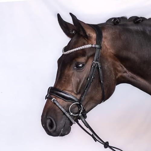 BRIDLERY Trense Charm Beschläge Gold, Design Standard, Farbe Schwarz, Größe Warmblut BRIDLERY Trense Charm Beschläge Gold, Design Standard, Farbe Schwarz, Größe Warmblut von BRIDLERY