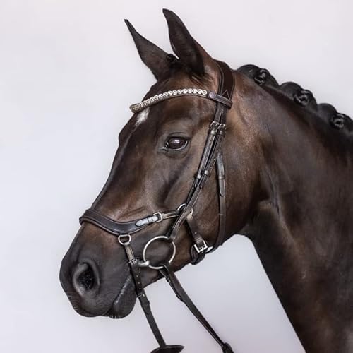 BRIDLERY Trense Outline Farbe Schwarz, Größe Warmblut BRIDLERY Trense Outline Farbe Schwarz, Größe Warmblut von BRIDLERY