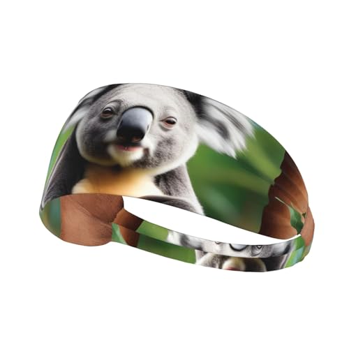 Elastisches Aldult-Stirnband für Damen und Herren, feuchtigkeitsableitend, athletisch, zum Laufen, Trainieren, lustiges Koalasbild von BROLEO