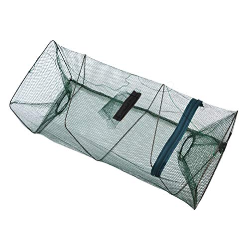 BSTCAR Krebsreuse 54x25x25cm, Shrimp Catcher Tragbar Einziehbar Fischreuse Kescher Angeln BSTCAR Krebsreuse 54x25x25cm, Shrimp Catcher Tragbar Einziehbar Fischreuse Kescher Angeln von BSTCAR