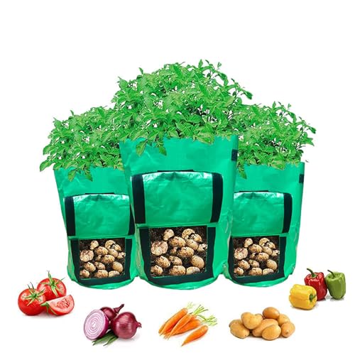 BTAISYDE Kartoffel Pflanzsack 3 Pack Kartoffelsack Zum Pflanzen, Pflanztaschen mit Sichtbarer Klappe, Kartoffel Pflanzsack Garten Pflanzbeutel für Gemüse, Kartoffel, Tomaten,A,3 gallons von BTAISYDE