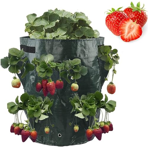 BTAISYDE Strawberry Grow Bags, Grow Bags für Gemüse, 7/10 Gallonen Garten-Pflanzsäcke mit Griffen und Porösem, Atmungsaktivem Vliesstoff Kartoffel Grow Bags für Blumen/Pflanzen,Black,7 gallons von BTAISYDE
