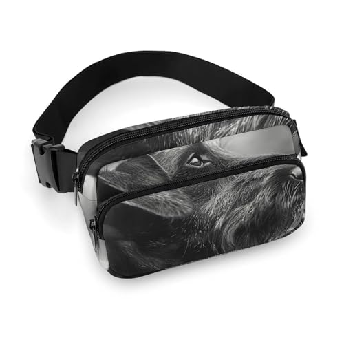 Bauchtasche mit Fotos von schönen Hunden, Gürteltasche für Damen und Herren, wasserdichte Gürteltasche mit verstellbarem Gürtel, lässige Umhängetasche, Reise-Hüfttasche für Sport, Laufen, Radfahren, von BTCOWZRV