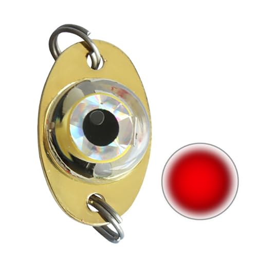 BUMMPI LED Trolling Drop Fishings Light Baits Flasher Angelköder Angellöffel Unterwasser Flasher von BUMMPI