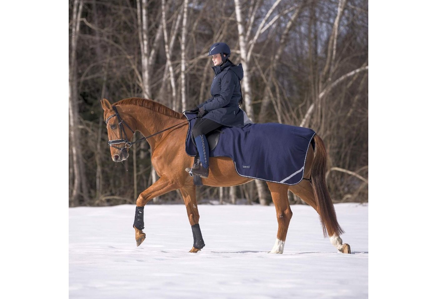 BUSSE Ausreitdecke BUSSE Ausreitdecke FLEECETRAINER III BUSSE Ausreitdecke BUSSE Ausreitdecke FLEECETRAINER III von BUSSE