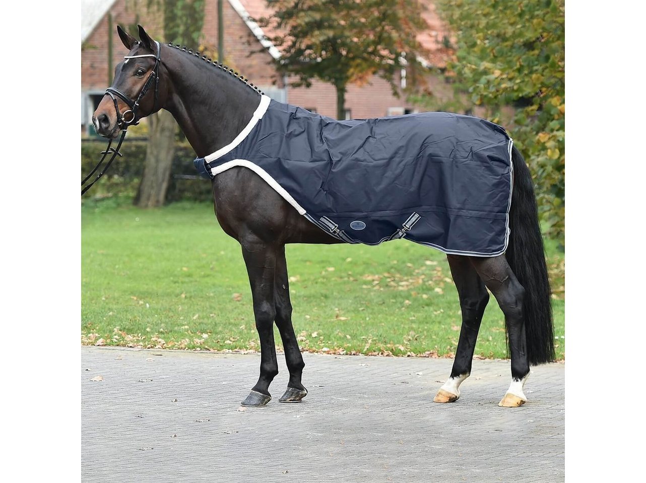 BUSSE Führanlagendecke BUSSE Führanlagendecke WALKING 100, mit 100g Wärmeisolierung BUSSE Führanlagendecke BUSSE Führanlagendecke WALKING 100, mit 100g Wärmeisolierung von BUSSE