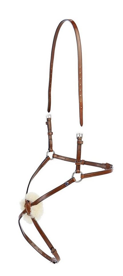 BUSSE Reithalfter Busse Reithalfter SALERMO BUSSE Reithalfter Busse Reithalfter SALERMO von BUSSE