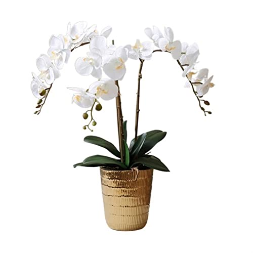 BXSUKEYOU Künstliche Blumen, Phalaenopsis-Orchidee, Simulationsblumen-Ornament, goldene Keramikvase, Desktop-Ornament, künstliche Blumendekoration, künstliche Blume (Farbe: B) von BXSUKEYOU