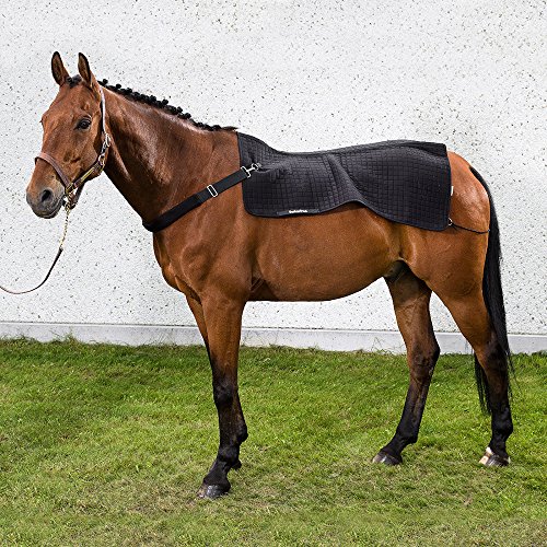 Back on Track Rückenwärmer Royal Back on Track Rückenwärmer Royal von Back on Track