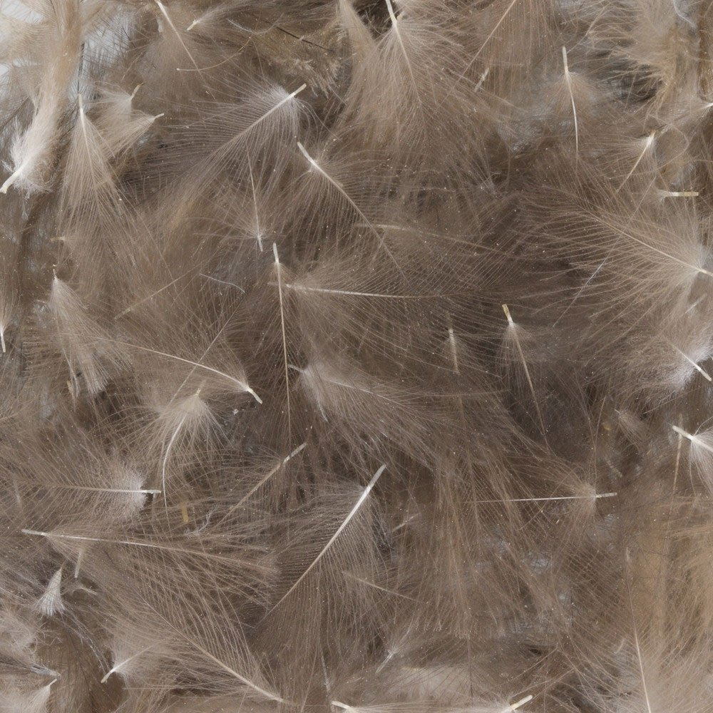 Baetis Cdc Wild Feather Beige 5 g Baetis Cdc Wild Feather Beige 5 g von Baetis