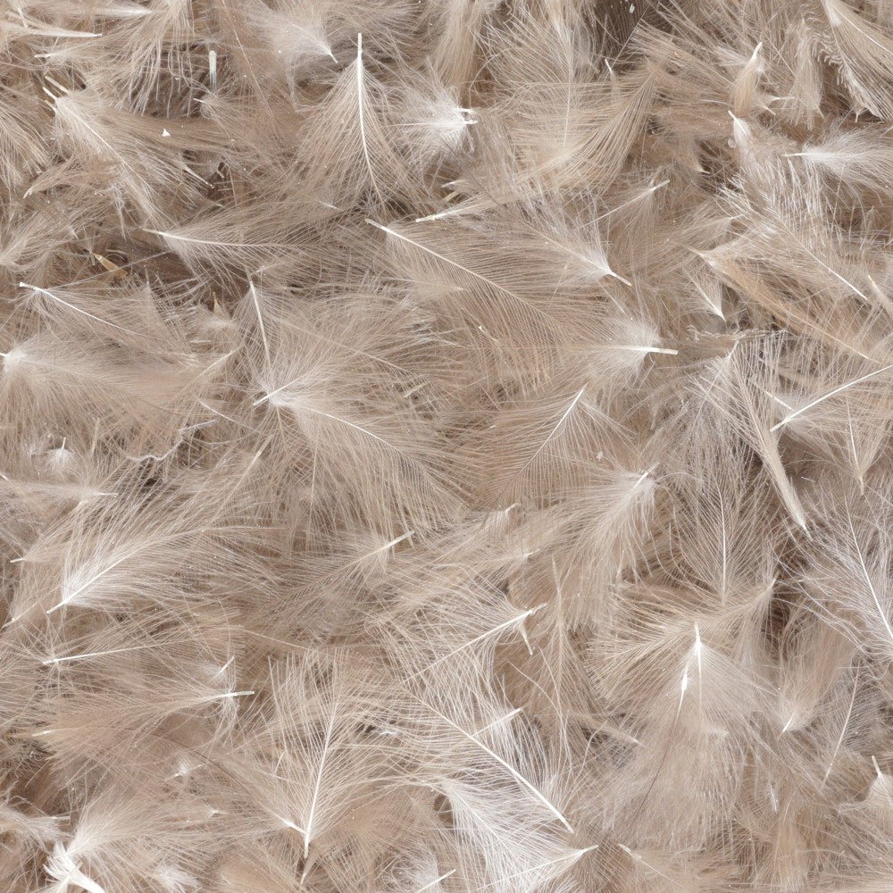 Baetis Cdc Wild Feather Weiß 5 g Baetis Cdc Wild Feather Weiß 5 g von Baetis