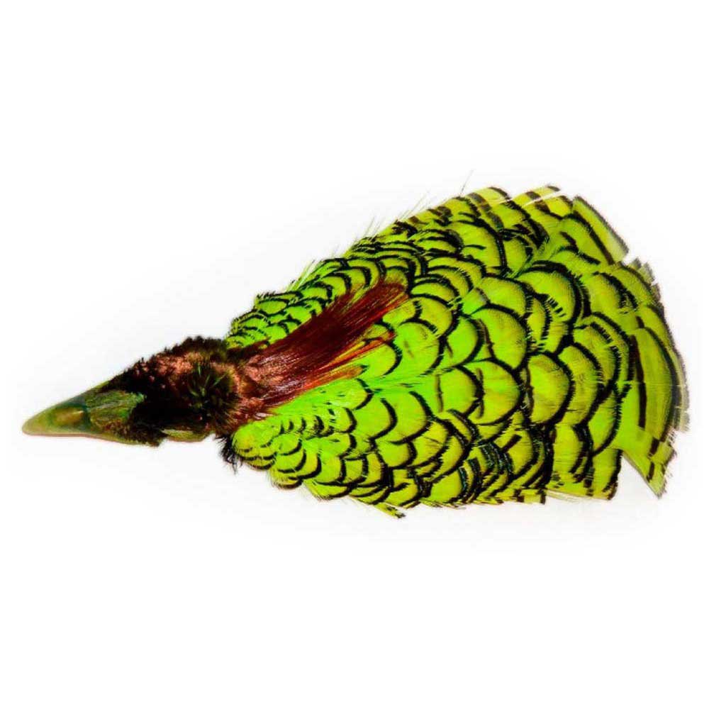 Baetis Lady Amherst Feather Grün Baetis Lady Amherst Feather Grün von Baetis