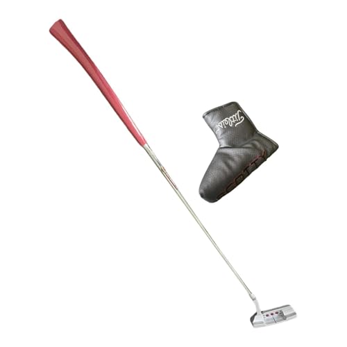 Baoblaze Golf-Putter, mit Schutzhülle für Rechtshänder, bequemer Griff, professioneller Golfschläger aus Zinklegierung für Männer und Frauen, 32inch von Baoblaze