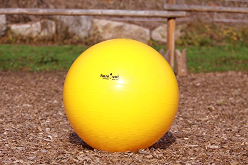 Barefoot Pferdeball 75 cm – Robust und Bissfest ¬¬– Anti-Platz PVC Ball für Pferde - Gelber Beschäftigungsball zur Förderung von Fitness, Beweglichkeit & geistiger Aktivität Barefoot Pferdeball 75 cm – Robust und Bissfest ¬¬– Anti-Platz PVC Ball für Pferde - Gelber Beschäftigungsball zur Förderung von Fitness, Beweglichkeit & geistiger Aktivität von Barefoot