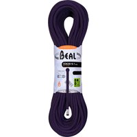 Beal Joker 9.1 Kletterseil von Beal