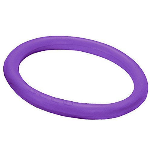 Beco Unisex – Erwachsene Universal Ring-9666 Tauchringe, lila, One Size von Beco Baby Carrier