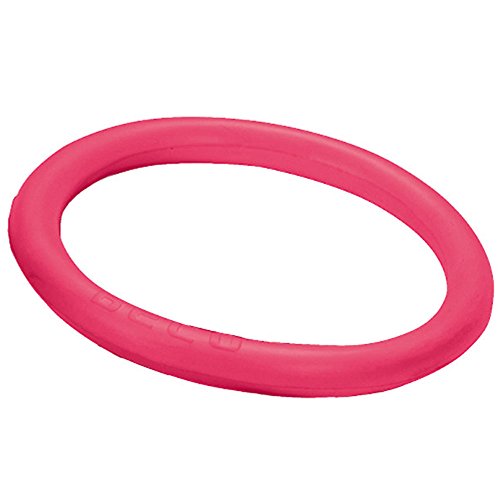 Beco Unisex – Erwachsene Universal Ring-9666 Tauchringe, pink, One Size Beco Unisex – Erwachsene Universal Ring-9666 Tauchringe, pink, One Size von Beco