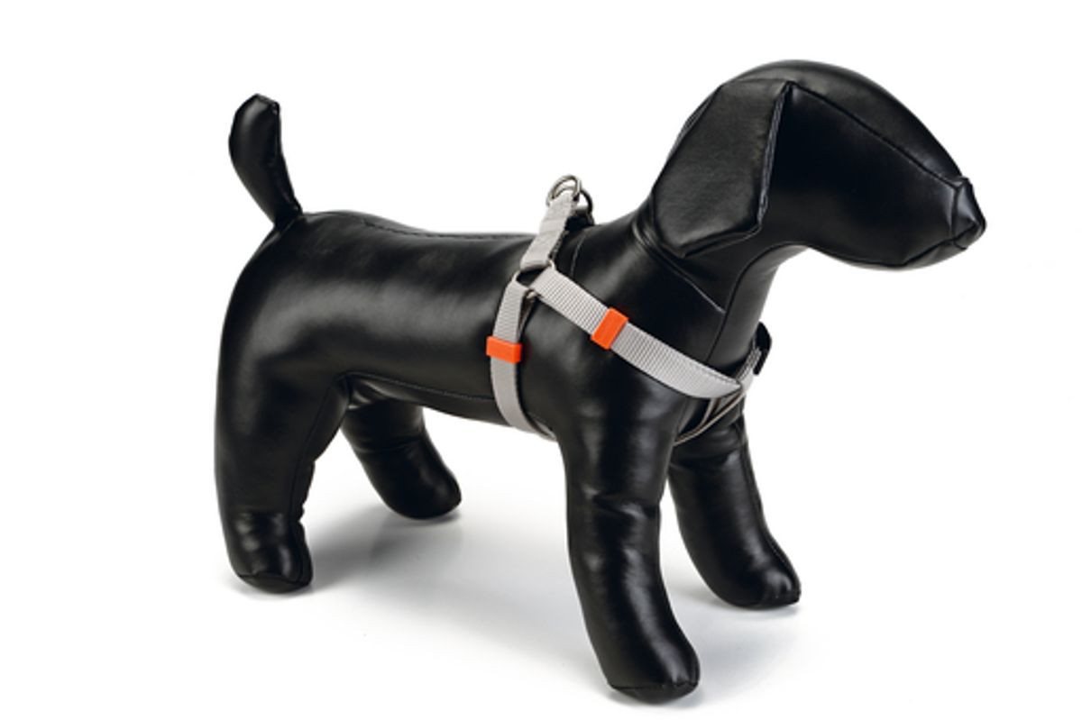 Beeztees Hunde-Geschirr Uni Hundegeschirr - hellgrau - 46-75 cm x 20 mm von Beeztees