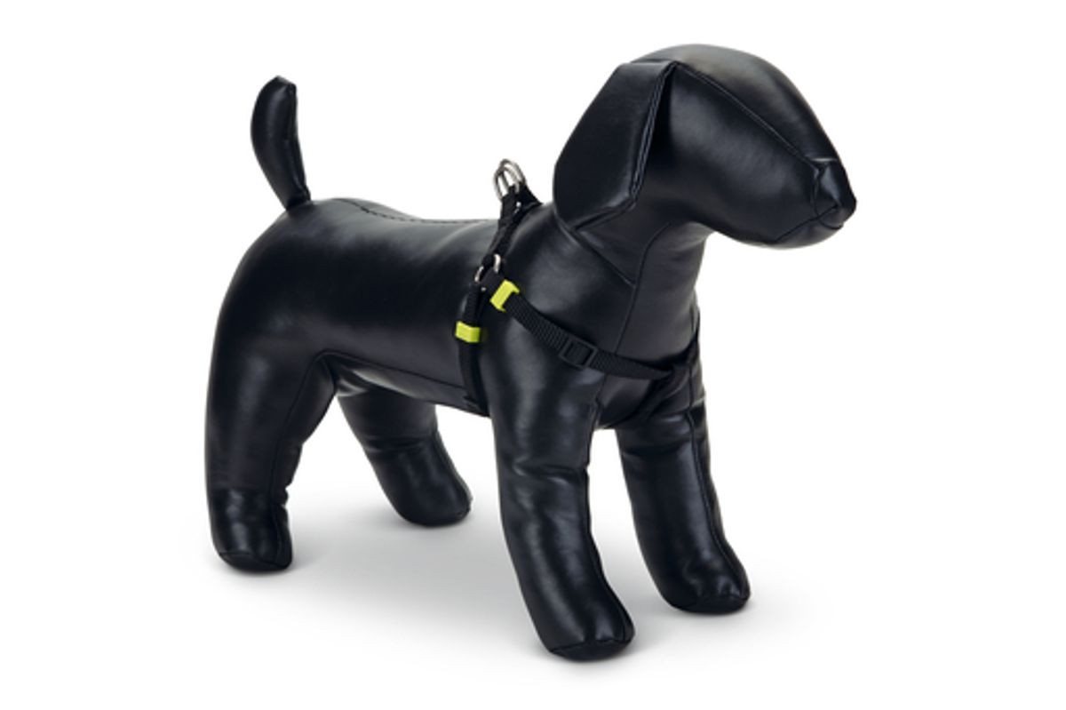 Beeztees Hunde-Geschirr Uni Hundegeschirr - schwarz - 46-75 cm x 20 mm von Beeztees