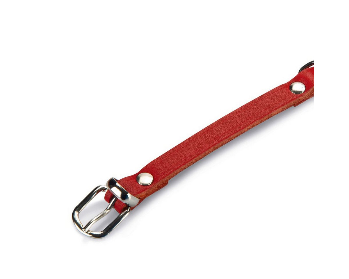 Beeztees Hunde-Halsband Hundehalsband Leder rot Beeztees Hunde-Halsband Hundehalsband Leder rot von Beeztees