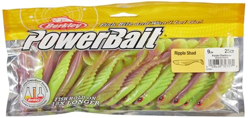Berkley Esche Artificiali da Pesca Spinning New Powerbait Ripple Shad Bulk 9 cm Purple Chartreu Trota Spigola Berkley Esche Artificiali da Pesca Spinning New Powerbait Ripple Shad Bulk 9 cm Purple Chartreu Trota Spigola von Berkley