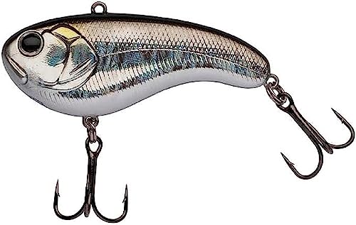 Berkley Flatt Shad Pike Hecht, Perch Barsch Angelköder, 22g | 77mm, Natural Shiner Berkley Flatt Shad Pike Hecht, Perch Barsch Angelköder, 22g | 77mm, Natural Shiner von Berkley
