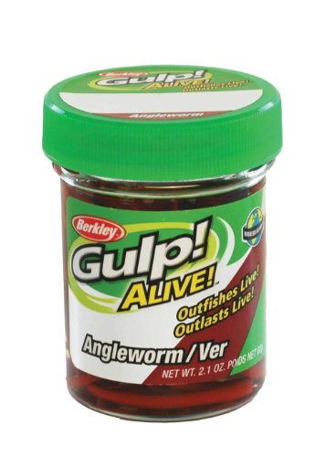Berkley Gulp Angelworm Red Wiggler 60g - Futterimitate Berkley Gulp Angelworm Red Wiggler 60g - Futterimitate von Berkley