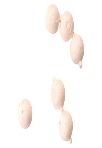 Berkley Gulp Lachseier, Herren, weiß Berkley Gulp Lachseier, Herren, weiß von Berkley