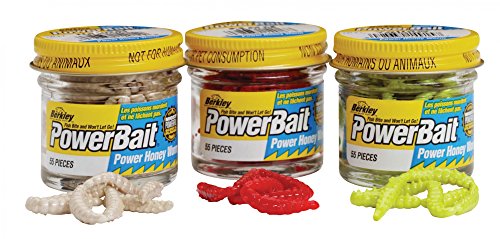 Berkley Kunstköder für das Spinning Angeln Powerbait Honey Worms Garlic 1´´ 2,5 cm 2.1 oz Orange Forelle Wolfsbarsch Berkley Kunstköder für das Spinning Angeln Powerbait Honey Worms Garlic 1´´ 2,5 cm 2.1 oz Orange Forelle Wolfsbarsch von Berkley