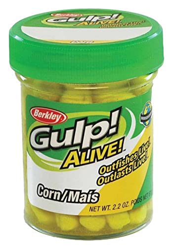 Berkley Unisex-Erwachsene GAJCN-Y Gefäß, gelb, 62,4 g, Yellow, Gulp Alive Corn Berkley Unisex-Erwachsene GAJCN-Y Gefäß, gelb, 62,4 g, Yellow, Gulp Alive Corn von Berkley