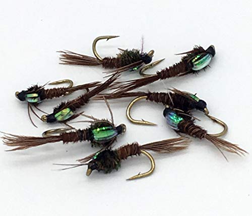 Fliegenfischen PHEASANT TAIL NYMPHS Flashback Set Größen 10-14 Acht fliegt PACK # 1 von BestCity Tackle