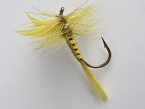 Trockenfliegen-Set # 180 zum Fliegenfischen, gelbe Steinfliegen, Größe 8, für Forellen, Kaulbarsche, 10 Stück Trockenfliegen-Set # 180 zum Fliegenfischen, gelbe Steinfliegen, Größe 8, für Forellen, Kaulbarsche, 10 Stück von BestCity Tackle