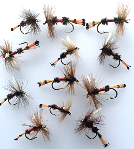 BestCity Royal Coachman Fliegenfischen, 12 Stück, Größe 8–10 Stück, #198 von BestCity