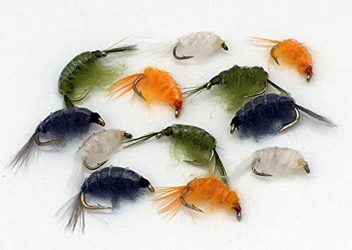 BestCity Fliegenangelhaken, Größe 8-12, Hartstahl, 12 Stück, Fischen, Forelle BestCity Fliegenangelhaken, Größe 8-12, Hartstahl, 12 Stück, Fischen, Forelle von BestCity
