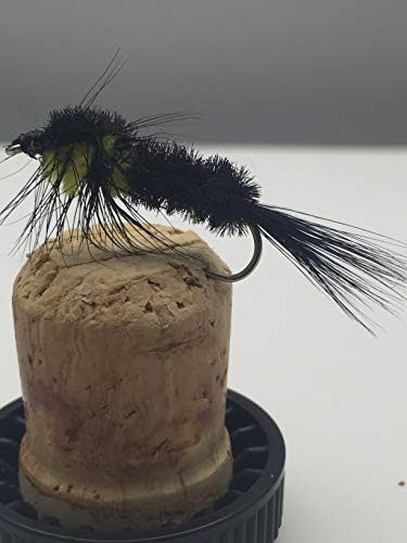 BestCity Fliegenfischen Prime Collection Montana Yellow Thorax 8 Fliegen zum Forellenangeln, Größe 10 BestCity Fliegenfischen Prime Collection Montana Yellow Thorax 8 Fliegen zum Forellenangeln, Größe 10 von BestCity