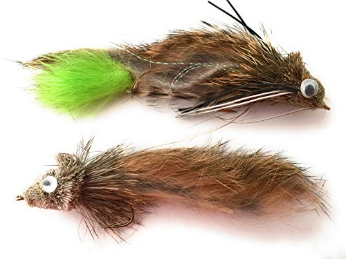 BestCity H3 Fliegenfischen, Barsch, Hecht, 4 Stück BestCity H3 Fliegenfischen, Barsch, Hecht, 4 Stück von BestCity