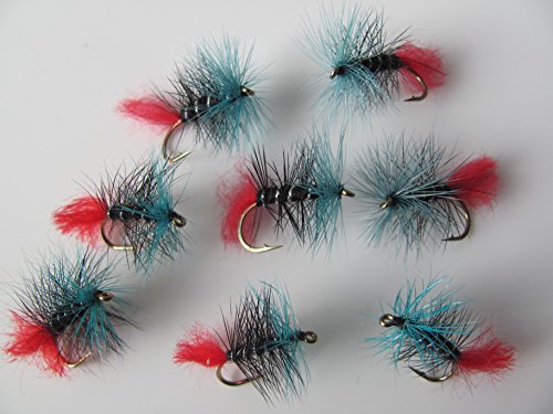 Blue Zulu Trockenfliegen zum Fliegenfischen, für Forellen, Größe10, feinste Qualität aus Großbritannien – 8 Stück Blue Zulu Trockenfliegen zum Fliegenfischen, für Forellen, Größe10, feinste Qualität aus Großbritannien – 8 Stück von BestCity