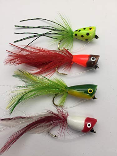 Orange Poppers Set of 5 Fishing Bass Pike Fliegen Gr. 4 Salzwasser Bass Forelle Barsch Döbel Fly Fisch Pack # 102 Orange Poppers Set of 5 Fishing Bass Pike Fliegen Gr. 4 Salzwasser Bass Forelle Barsch Döbel Fly Fisch Pack # 102 von BestCity