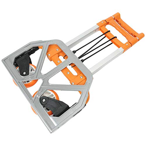 Best Sporting Best divers Unisex – Erwachsene Wagen, Orange Best Sporting Best divers Unisex – Erwachsene Wagen, Orange von BESTDIVERS