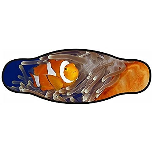 Best divers Tauchmaskenband aus Neoprene, doppellagig, Design Seeanemone mit Clownfisch Best divers Tauchmaskenband aus Neoprene, doppellagig, Design Seeanemone mit Clownfisch von BESTDIVERS