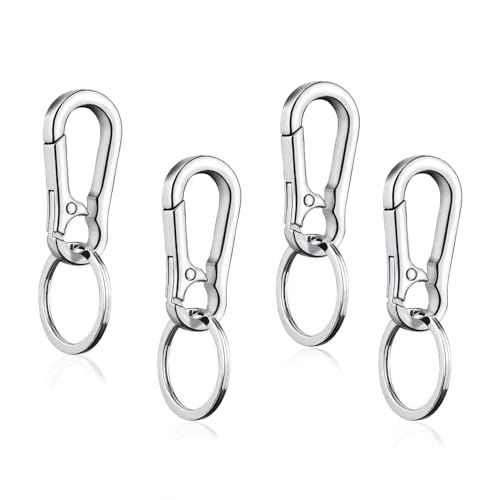 Bieiyhe 4 Stück Karabiner Schlüsselanhänger Abnehmbare Karabinerhaken Klein Edelstahl Carabiner Schlüsselanhänger Schlüsselbund Karabiner Schlüsselringe mit Karabiner Schlüsselkarabiner Silber von Bieiyhe