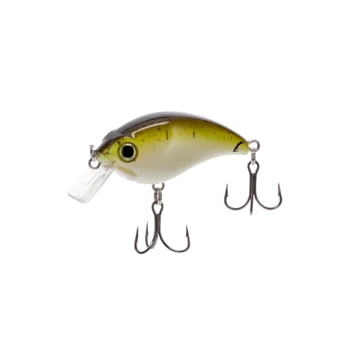 Bill Lewis ATV Squarebill Crankbait Angeln lebensechte Süß- und Salzwasserköder 1.0 mit Mustad Triple Grip Haken, Guacamole Bill Lewis ATV Squarebill Crankbait Angeln lebensechte Süß- und Salzwasserköder 1.0 mit Mustad Triple Grip Haken, Guacamole von Bill Lewis