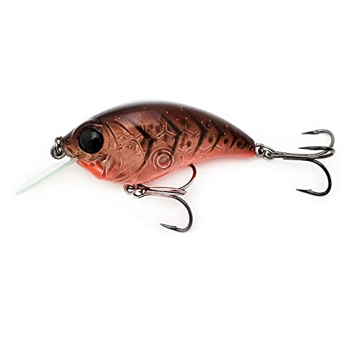Bill Lewis Unisex-Erwachsene Rat-L-Trap Köder, Ozark Craw, 3/8 OZ Bill Lewis Unisex-Erwachsene Rat-L-Trap Köder, Ozark Craw, 3/8 OZ von Bill Lewis