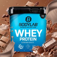 Whey Protein - 1000g - Milchschokolade Whey Protein - 1000g - Milchschokolade von Bodylab24